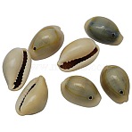 Natural Cowrie Shell Pendants, Shell Shaped Charms, Seashell Color, 20~23x14~15x10.5~11.5mm, Hole: 2mm, about 250pcs/500g(BSHE-S050)