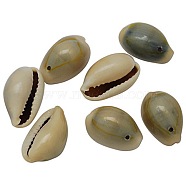Natural Cowrie Shell Pendants, Shell Shaped Charms, Seashell Color, 20~23x14~15x10.5~11.5mm, Hole: 2mm, about 250pcs/500g(BSHE-S050)