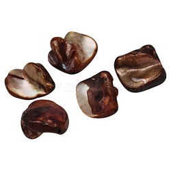 Natural Freshwater Shell Beads, Dyed, Coconut Brown, Size: about 10~20mm long, 12~18mm wide, 5~9mm thick, hole: 1mm, about 320pcs/500g(BSHE-S028-3)