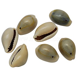 Natural Cowrie Shell Pendants, Shell Shaped Charms, Seashell Color, 20~23x14~15x10.5~11.5mm, Hole: 2mm, about 250pcs/500g(BSHE-S050)