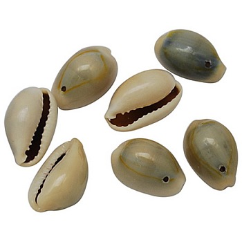 Natural Cowrie Shell Pendants, Shell Shaped Charms, Seashell Color, 20~23x14~15x10.5~11.5mm, Hole: 2mm, about 250pcs/500g