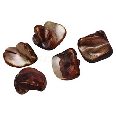 12mm CoconutBrown Others Freshwater Shell Beads