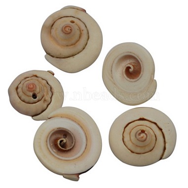13mm PeachPuff Others Spiral Shell Beads