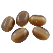 Cat Eye Cabochons, Oval, Brown, about 6mm wide, 8mm long, 3mm thick(CE039-6x8-30)