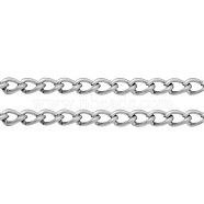 Iron Side Twisted Chains, Unwelded, with Spool, Oval, Lead Free, Platinum, 6x4x1mm(CH-S087-P-LF)