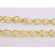 Iron Twisted Chains(CH017-G)-1