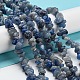 Natural Blue Aventurine Chip Beads Strands(G-M205-10C)-2