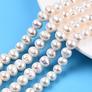 Natural Cultured Freshwater Pearl Beads Strands, Potato, Seashell Color, 7~8.5x7~8mm, Hole: 0.8mm, about 45pcs/strand, 13.39 inch(34cm)(PEAR-N013-07H)