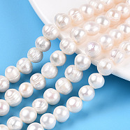 Natural Cultured Freshwater Pearl Beads Strands, Potato, Creamy White, 7.5~8x7~9mm, Hole: 0.7mm, about 23~24pcs/strand, 7.09 inch(18cm)(X-PEAR-N013-17N-01)