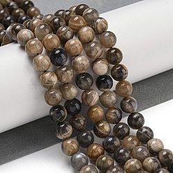 Natural Black Moonstone Beads Strands, Round, 8mm, Hole: 1.2mm, about 46pcs/strand, 15.55''(39.5cm)(G-Q183-A01-01)