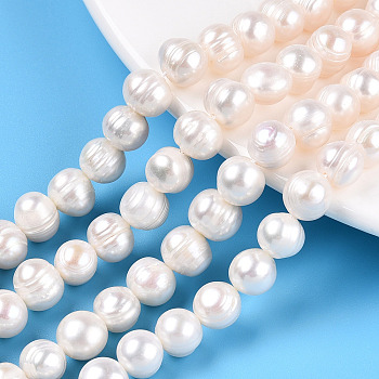 Natural Cultured Freshwater Pearl Beads Strands, Potato, Creamy White, 7.5~8x7~9mm, Hole: 0.7mm, about 23~24pcs/strand, 7.09 inch(18cm)