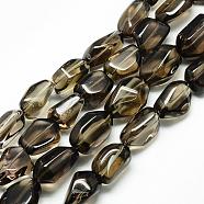 Natural Smoky Quartz Beads Strands, Nuggets, 15~22x13~15x10~13mm, Hole: 1.5mm, about 22pcs/strand, 15.7 inch(G-R439-31C)