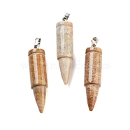 Natural Fossil Coral Pointed Pendants, Bullet Shaped Charms with Rack Plating Platinum Tone Brass Snap on Bails, 40x10mm, Hole: 7x4mm(G-A231-03A)