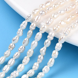 Natural Cultured Freshwater Pearl Beads Strands, Baroque Keshi Pearl Rice Beads, Seashell Color, 3~5x3~3.5mm, Hole: 0.7~0.8mm, about 38~39pcs/strand, 7.09 inch(18cm)(PEAR-N012-03H)