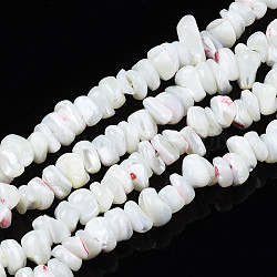 Natural Freshwater Shell Beads Strands, Nuggets Chips, White, 2.5~5.5x6~17.5x5~8mm, Hole: 0.8mm, about 92~112pcs/strand, 13.98 inch~16.14 inch(35.5~41cm)(SHEL-N003-23-A01)