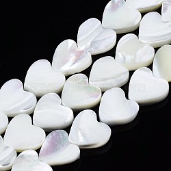 Natural Trochid Shell/Trochus Shell Beads Strands, Bleach, Heart, White, 10x10x3mm, Hole: 0.8mm, about 43~44pcs/strand, 15.35''(39~40cm)(SSHEL-N034-99B-B01)