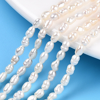 Natural Cultured Freshwater Pearl Beads Strands, Baroque Keshi Pearl Rice Beads, Seashell Color, 3~5x3~3.5mm, Hole: 0.7~0.8mm, about 38~39pcs/strand, 7.09 inch(18cm)