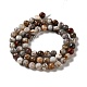 Natural Mexican Agate Beads Strands(G-E578-02A)-2