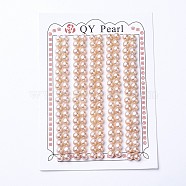 Natural Cultured Freshwater Pearl Beads, Half Drilled, Round, PeachPuff, 4.5~5x4mm, Hole: 1mm(PEAR-I004I-04)