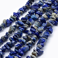Natural Lapis Lazuli Beads Strands, Chip, 5~8mm, Hole: 1mm, about 33 inch(84cm)(X-G-P332-12)
