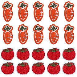 28Pcs 2 Style Tomato & Carrot Non Woven Fabric Embroidery Iron on Applique Patch, Sewing Craft Decoration, Vegetable Pattern, 25~55x26~29x2~2.5mm, 14pcs/style(PATC-GF0001-12)