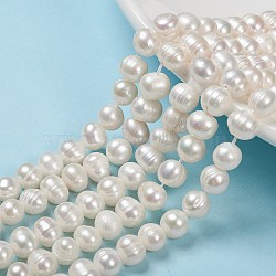 Natural Cultured Freshwater Pearl Beads Strands, Potato, Seashell Color, 6~7x7~8.5mm, Hole: 0.5mm, about 26pcs/strand, 7.09 inch(18cm)(PEAR-N013-07C)