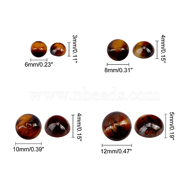 природных тигровый глаз кабошонов(G-GA0001-12B)-2