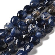 Natural Sodalite Beads Strands, Heart, 10x10.5~11x5mm, Hole: 1.2mm, about 40pcs/strand, 15.35''(39cm)(G-B022-18B)
