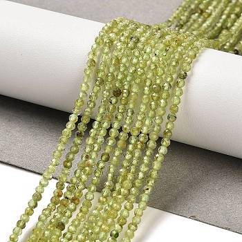 Natural Peridot Beads Strands, Round, Faceted, 2~2.5mm, Hole: 0.7mm, about 240pcs/strand, 15.35''(39cm)