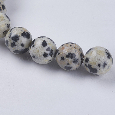 Chapelets de perles en jaspe de dalmation naturelle(X-G-G515-8mm-06)-3