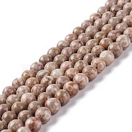 Natural Maifanite/Maifan Stone Beads Strands, Dyed, Round, Thistle, 6~6.5mm, Hole: 1mm, about 61~66pcs/strand, 15.16~15.75(38.5~40cm)(G-P451-01B-B)