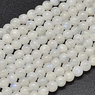 Natural Rainbow Moonstone Beads Strands, Round, 5.5~6mm, Hole: 1mm, about 67pcs/strand, 15.7 inch(40cm)(G-P335-12-6mm)