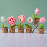 DIY Pot Flower Display Doll Decoration Crochet Kit, Including Cotton Thread, Crochet Hook Needle, Knit Needle, Locking Stitch Marker, Pearl Pink, 11cm(SENE-PW0003-081E)