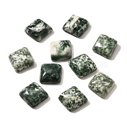 Natural Green Spot Jasper Cabochons, Square, 15x15x6~6.5mm(G-I359-05)