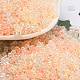 Ceylon Glass Seed Beads(SEED-K009-02B-41)-1