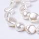 Shell Pearl Beads Strands(BSHE-L035-F01)-1