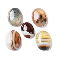 Natural Striped Agate/Banded Agate Cabochons, Dyed & Heated, Oval, Coconut Brown, 24.5~25x18x6.5~7mm(G-H296--01D-04)