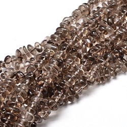 Natural Smoky Quartz Chip Beads Strands, 4~14x4~12mm, Hole: 1mm, about 15.3 inch~16.1 inch(X-G-E271-117)
