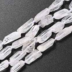 Rough Raw Natural Quartz Beads Strands, Double Pointe, Nuggets, 15.5~18.5x5.5~8.5x5~9.5mm, Hole: 0.8mm, about 24~67pcs/strand, 16.73''(42.5cm)(G-G010-20)