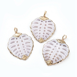 Electroplated Shell Big Pendants, with Brass Pendant Findings, Leaf, White, 56.1x43x3mm, Hole: 8x5mm(BSHE-G024-04G)