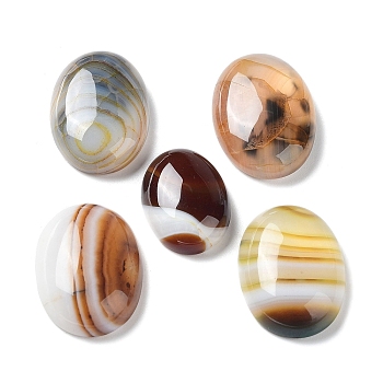 Natural Striped Agate/Banded Agate Cabochons, Dyed & Heated, Oval, Coconut Brown, 24.5~25x18x6.5~7mm