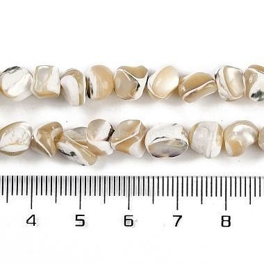 Natural Trochus Shell Beads Strands(BSHE-H109-10)-5