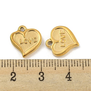 Valentinstag 304 Edelstahl Charms(STAS-P356-31G)-3