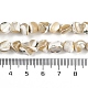 Natural Trochus Shell Beads Strands(BSHE-H109-10)-5