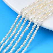 Natural Cultured Freshwater Pearl Beads Strands, Potato, Seashell Color, 2~3x1.5~2.5mm, Hole: 0.5mm, about 141~145pcs/strand, 13.98 inch~14.17 inch(35.5cm~36cm)(PEAR-N013-02B)