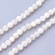 Natural Shell Beads Strands, Faceted, Round, 3~3.5mm, Hole: 0.5mm, about 115~130pcs/strand, 14.5~16.1 inch(37~41cm)(X-G-F619-27-3mm)
