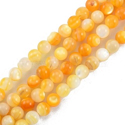 Natural Golden Yellow Shell Beads Strands, Round, 6mm, Hole: 0.8mm, about 67pcs/strand, 15.08 inch(38.3cm)(SSHEL-G024-01A)