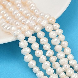 Natural Cultured Freshwater Pearl Beads Strands, Grade A, Potato, Seashell Color, 6~7mm, Hole: 0.6mm, about 54~59pcs/strand, 13.46~14.49 inch(34.2~36.8cm)(PEAR-I007-07Y-07A)