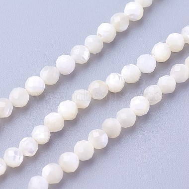 3mm Beige Round Other Sea Shell Beads