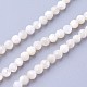 Natural Shell Beads Strands(X-G-F619-27-3mm)-1
